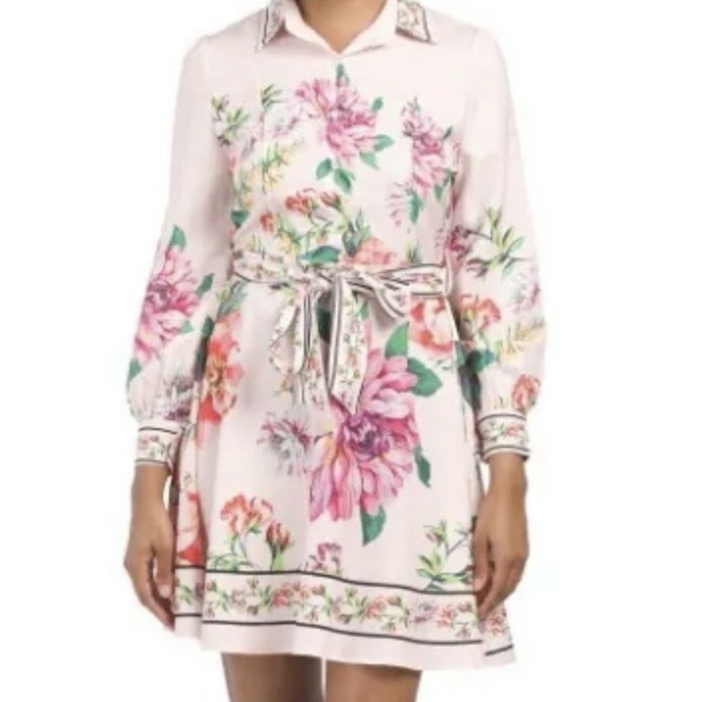 Floral Tie-Waist Long Sleeve Mini Dress - Pink Floral